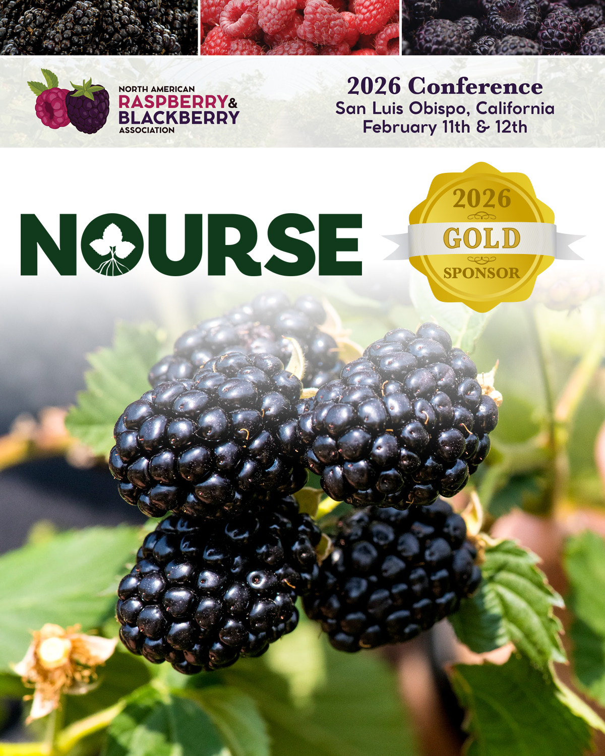We... - North American Raspberry & Blackberry Association | Facebook