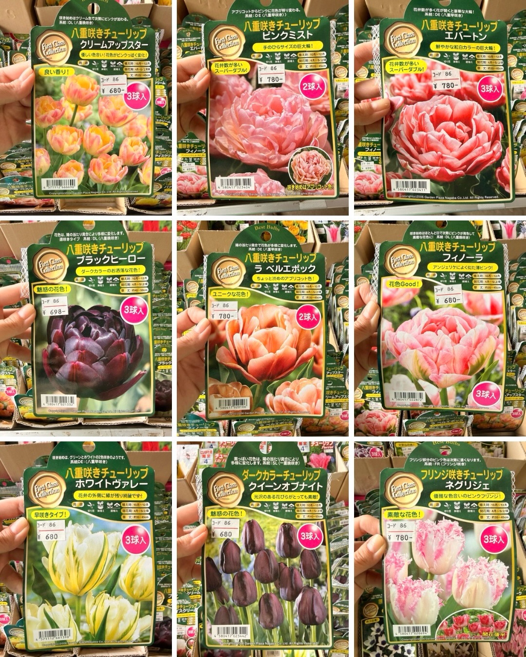 花水木　リクエストセット【同時購入特割( 1 / 2 )】 花木センター トキワ園芸農業協同組合 (@tokiwaengei) • Facebook
