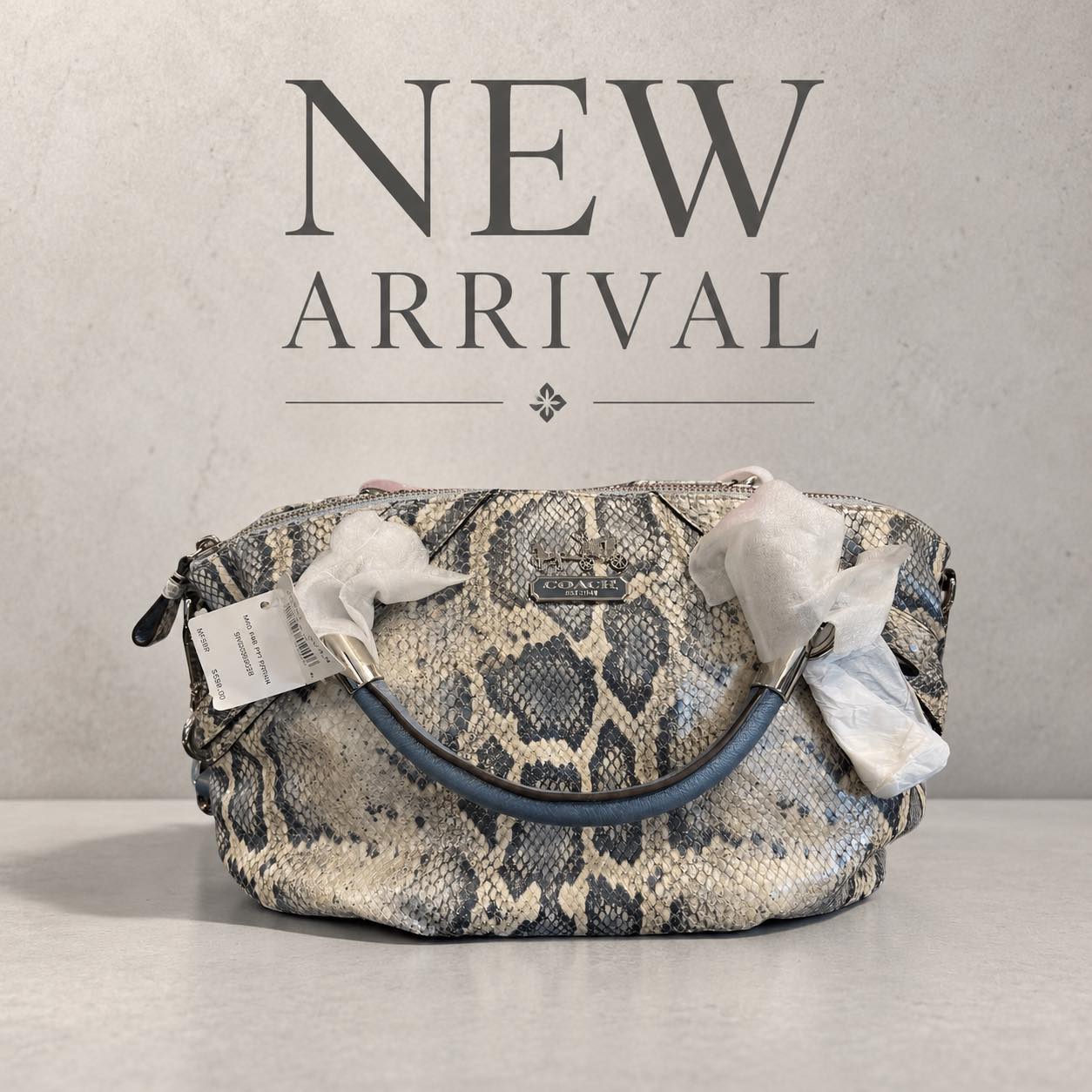 Trendsetters - Brand new with tags and absolutely stunning in 