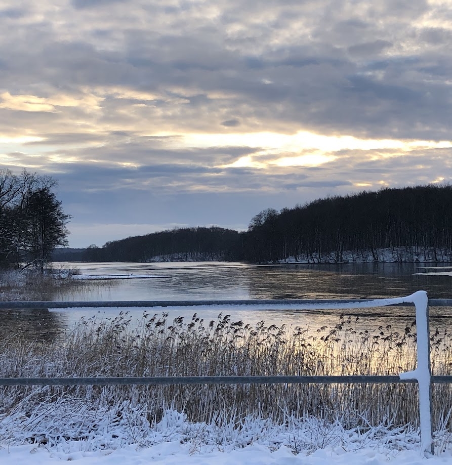 Vi introducerer fra i dag Loop Plus, vores nye loyalitetsprogram💚 Vi ...