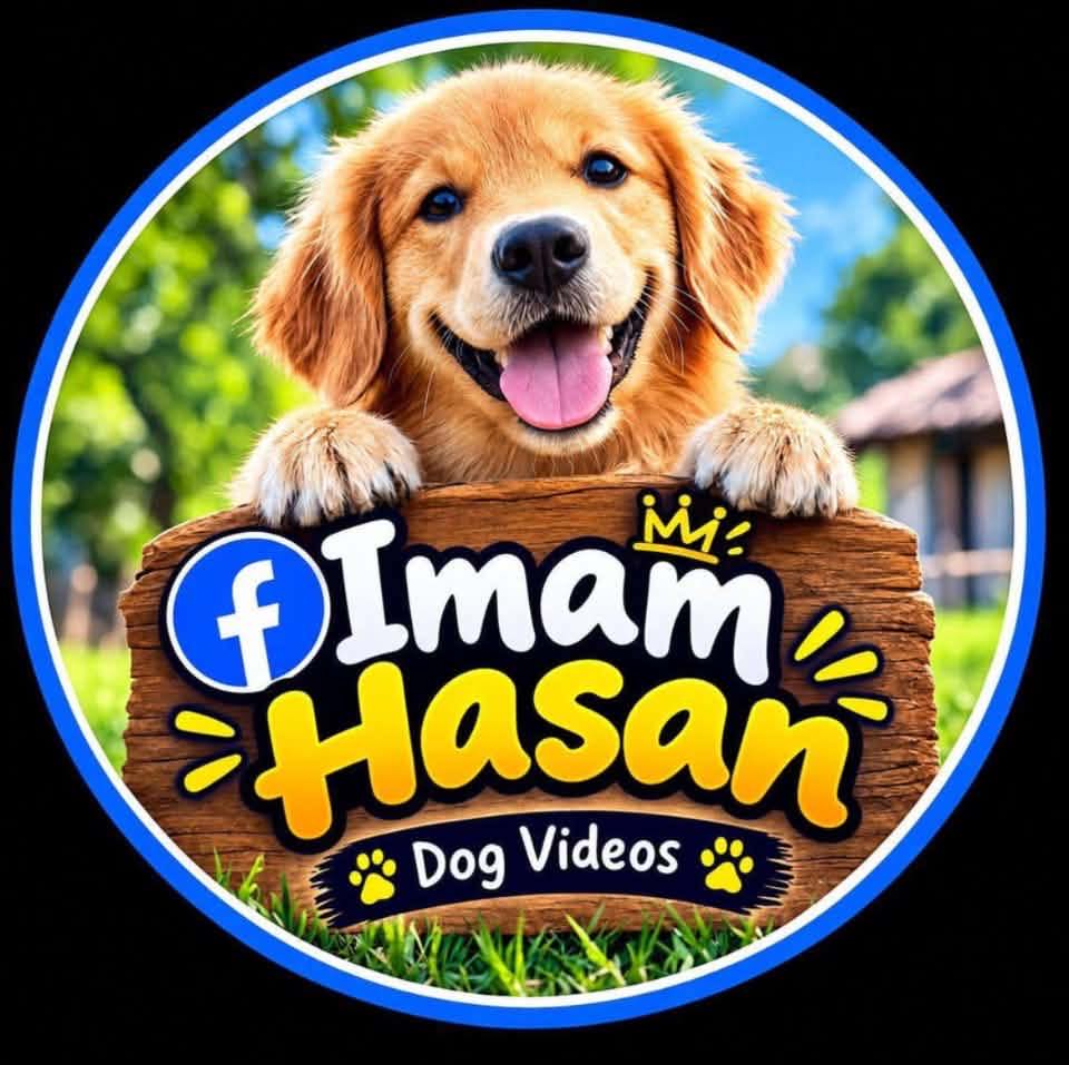 Watch the dog’s reaction when it sees a tiger! 🤣😲🐯 #dog #dogreaction # ...