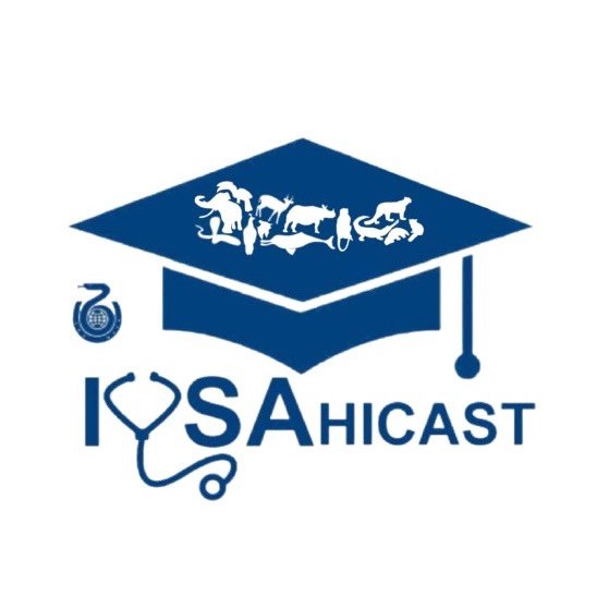 Ivsa Hicast