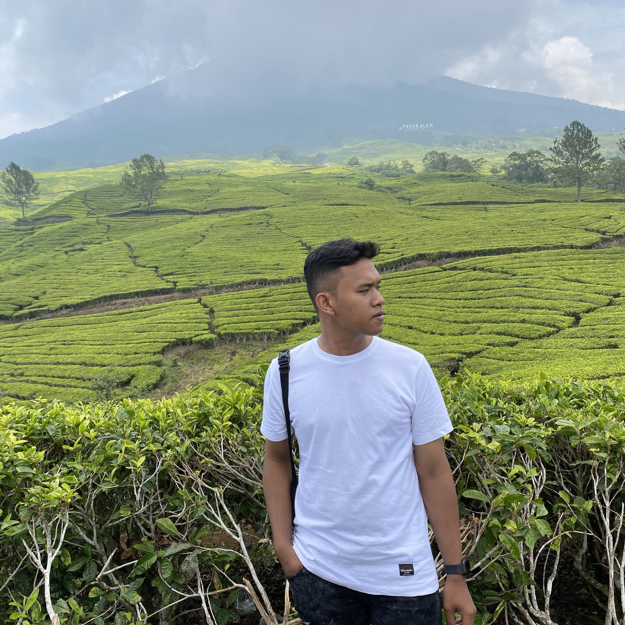 Syaiful Rizal