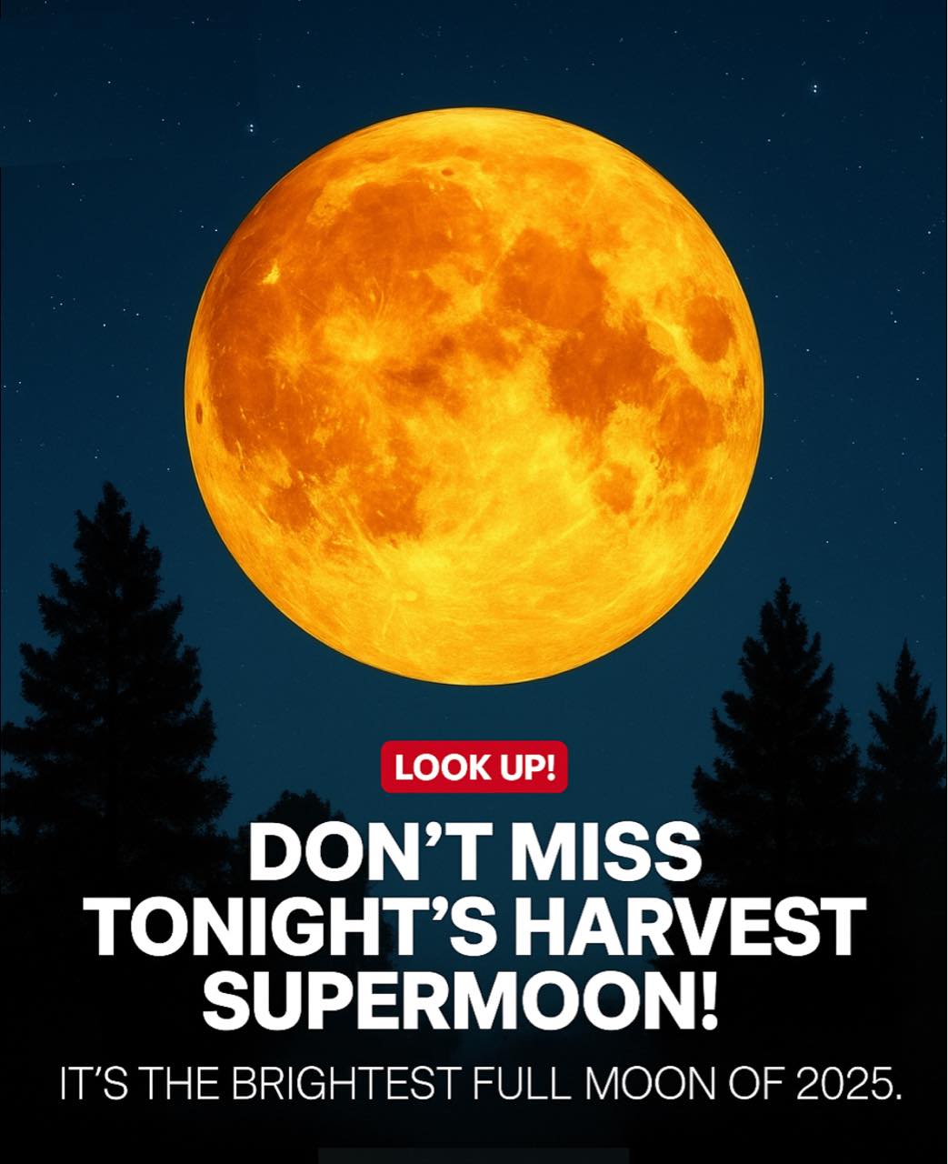 The Beauty - 🌕 October 6, 2025 — Harvest Supermoon 🌾 Tonight, the sky ...
