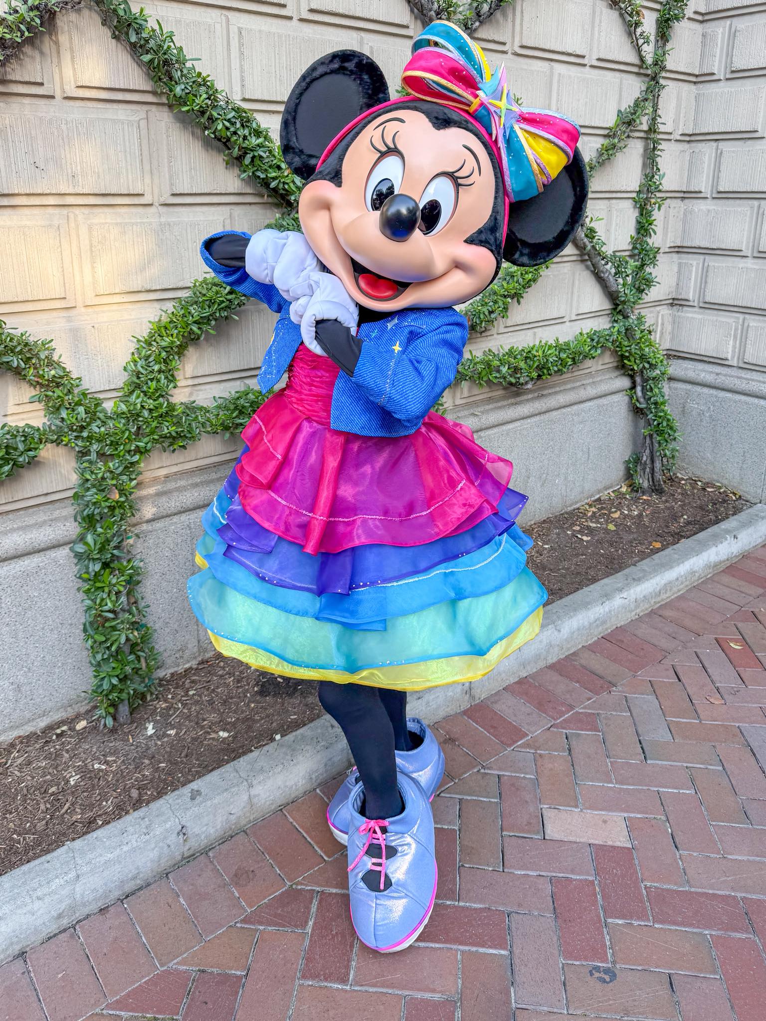 minnie mouse 90th birthday dress dressed for the 70th at Disneyland! White/Flowers:Size 8 INV-1561 VUBIYA Women's Summer Satin