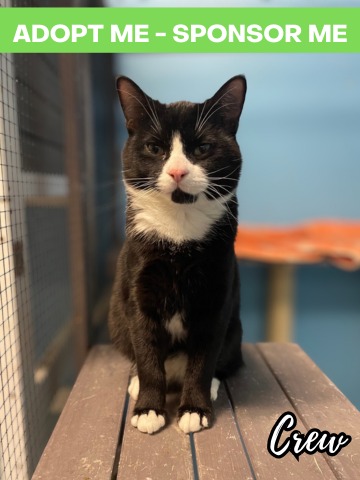 Famous - This is Crew - who now 6 months old and still waiting. Half ...