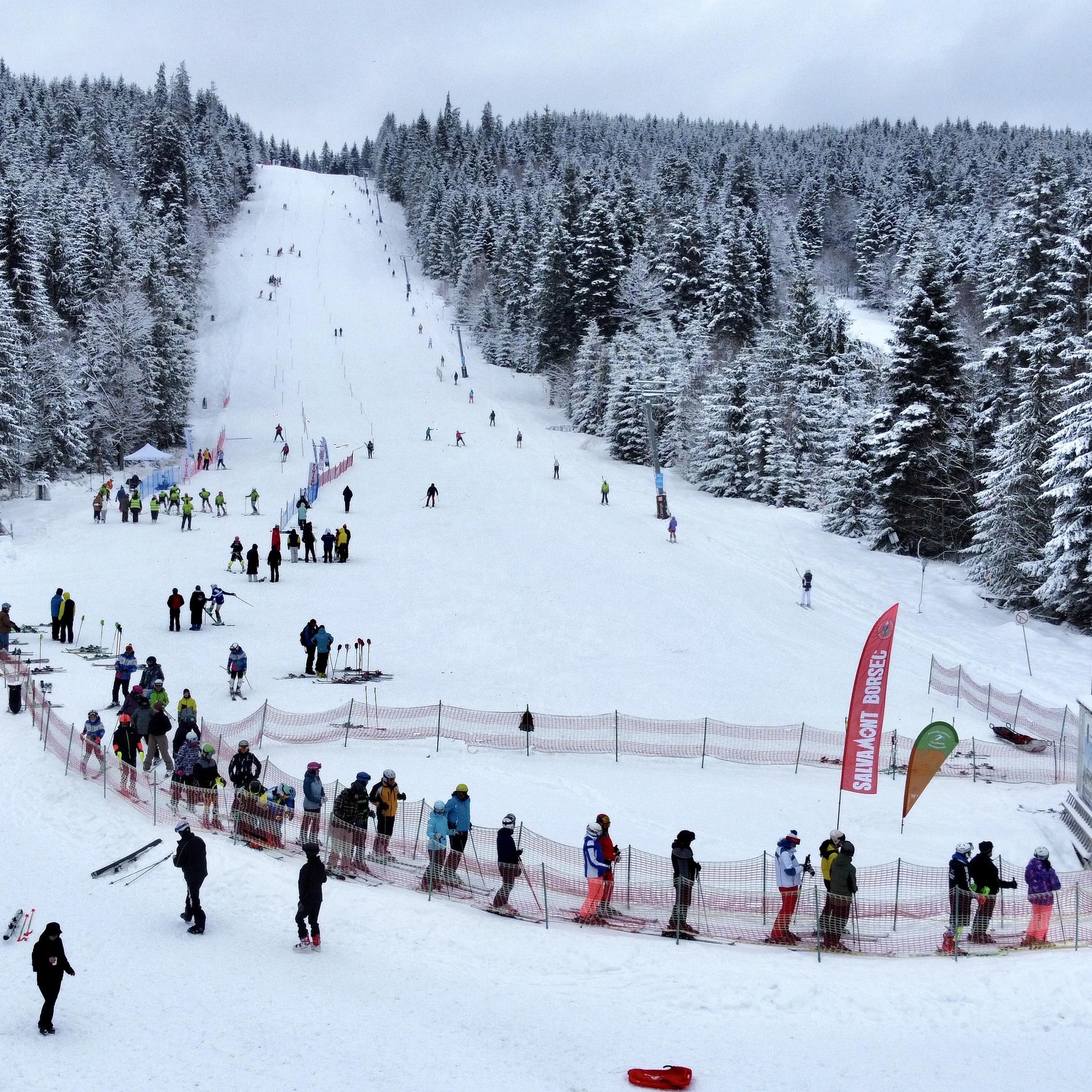 Pensiunea Favorit Ferice | Borsec