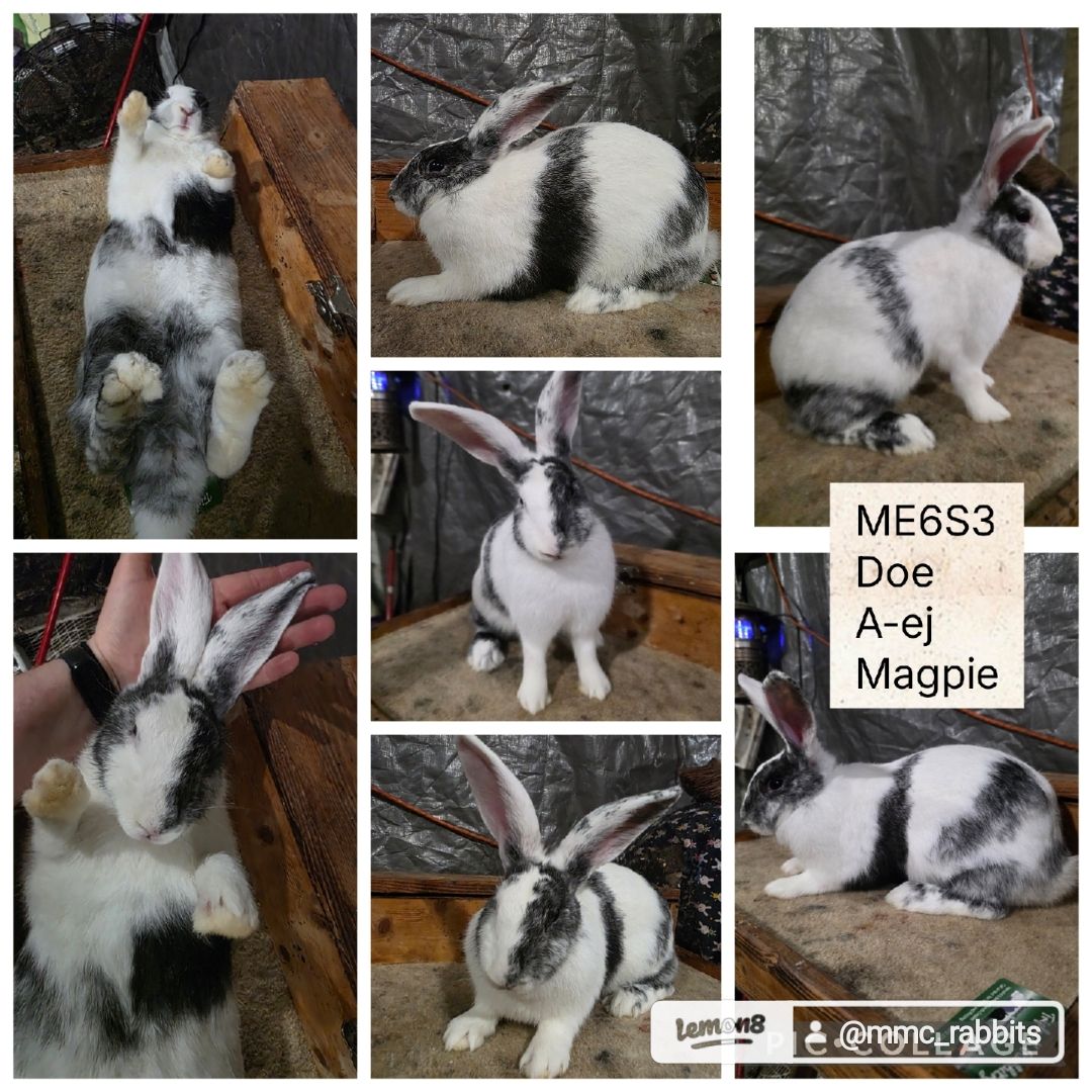 MMC Farmstead | Facebook