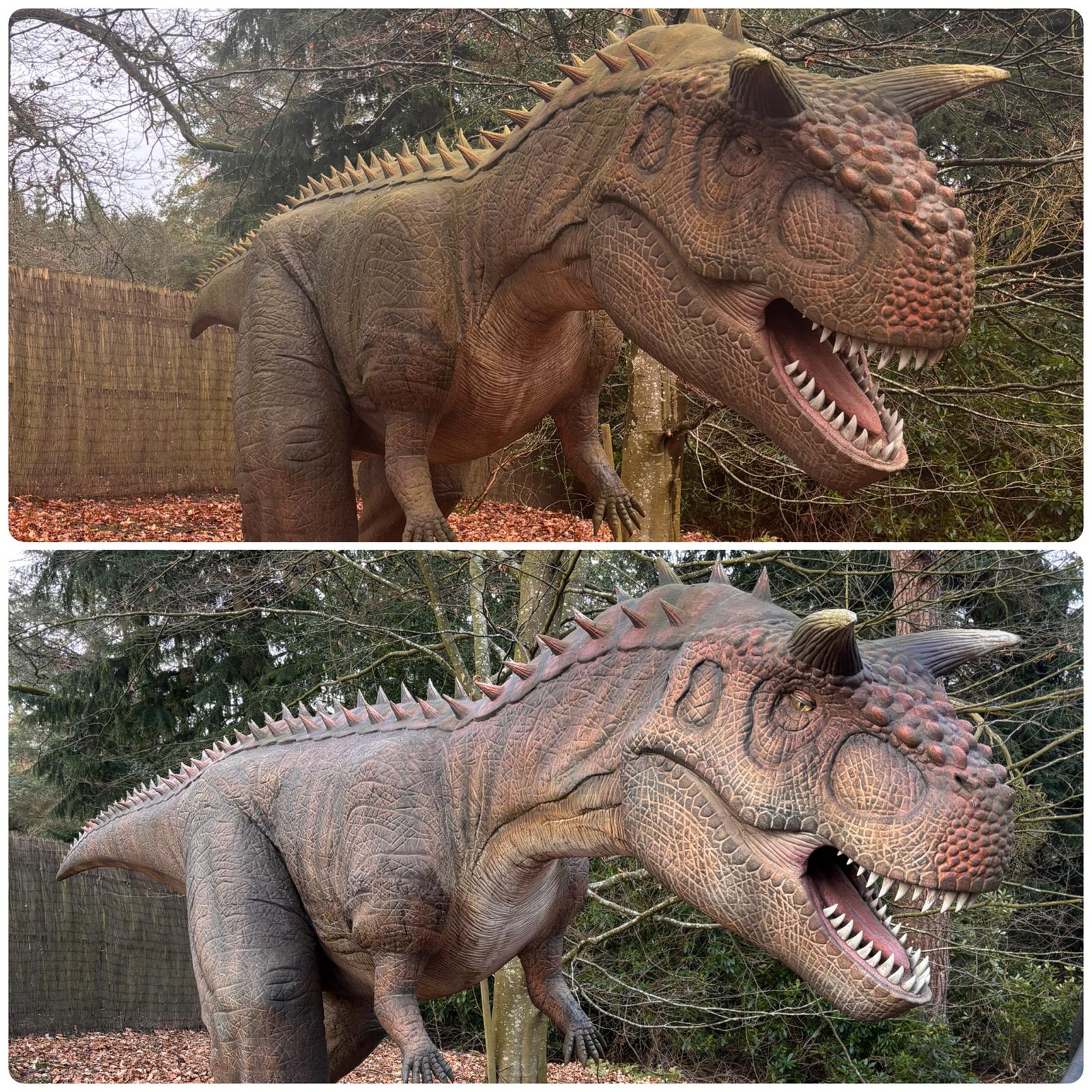 Our dinosaurs have had a bit of a glow-up… ?✨ After a good bath 