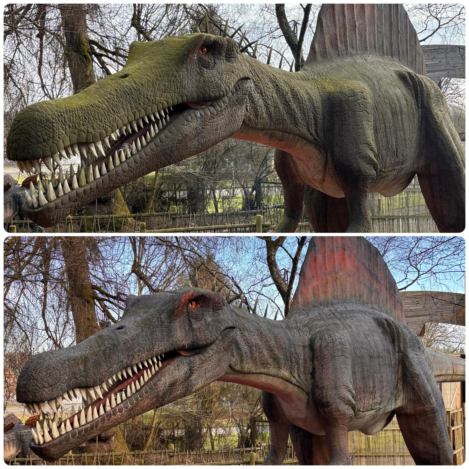 Our dinosaurs have had a bit of a glow-up… ?✨ After a good bath 