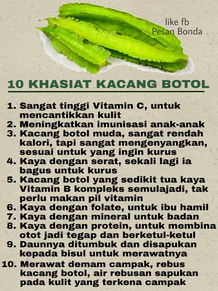 Alazat Khasiat Kacang Botol Rupanya Banyak Jugak Facebook