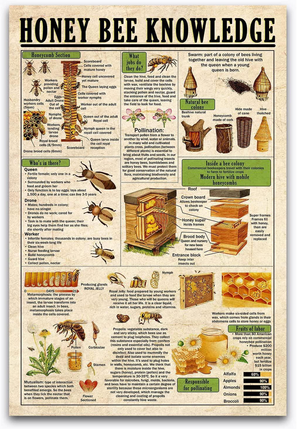 Biology group | Understanding Bees posted by CunaGreenleaf. | Facebook
