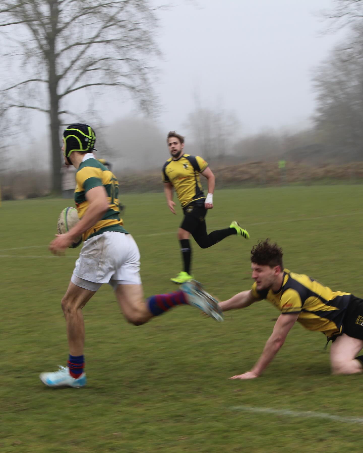 Doetinchemse Rugby Club Wild Rovers | Doetinchem