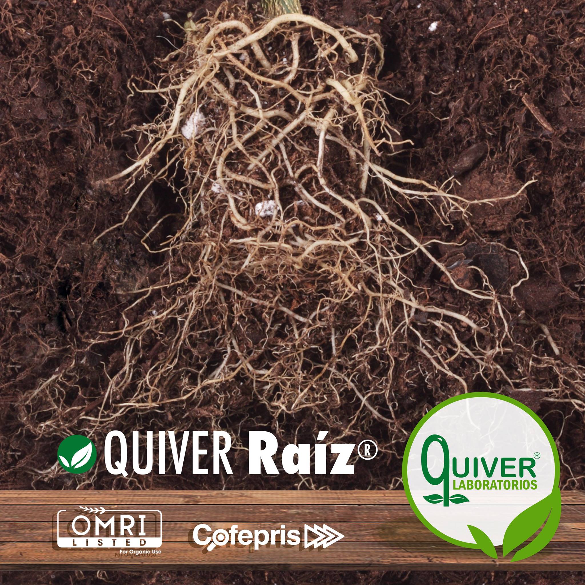 ¡Estimula el crecimiento radicular,... - Laboratorios Quiver