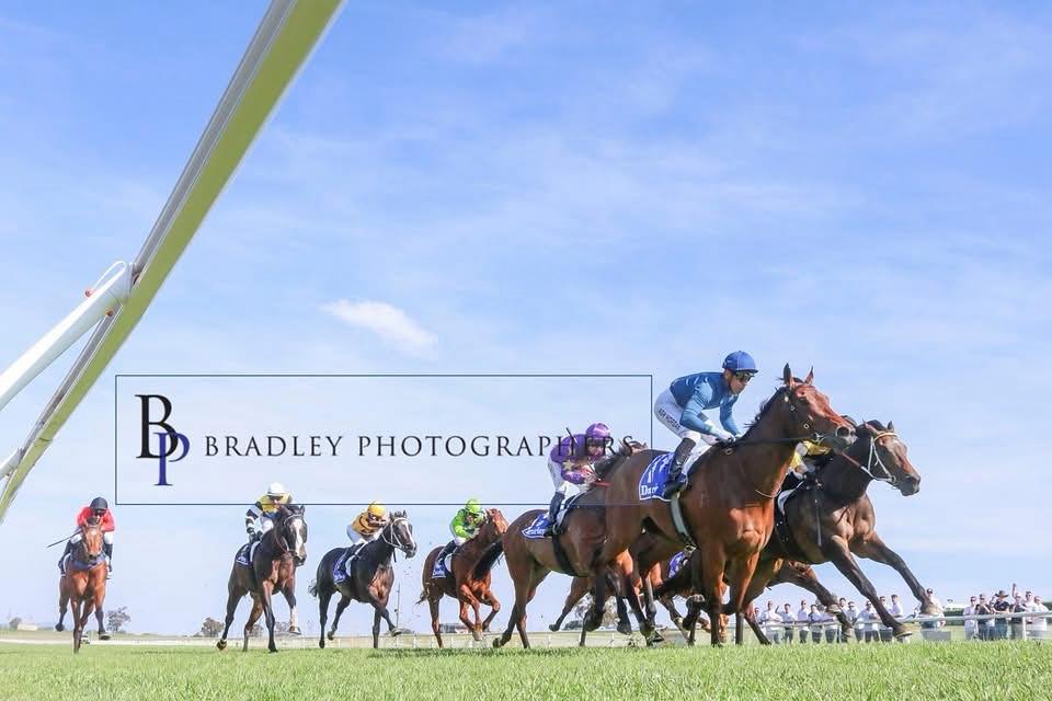 Doyle Racing - Cool Waters makes it two from two at Scone... | Facebook