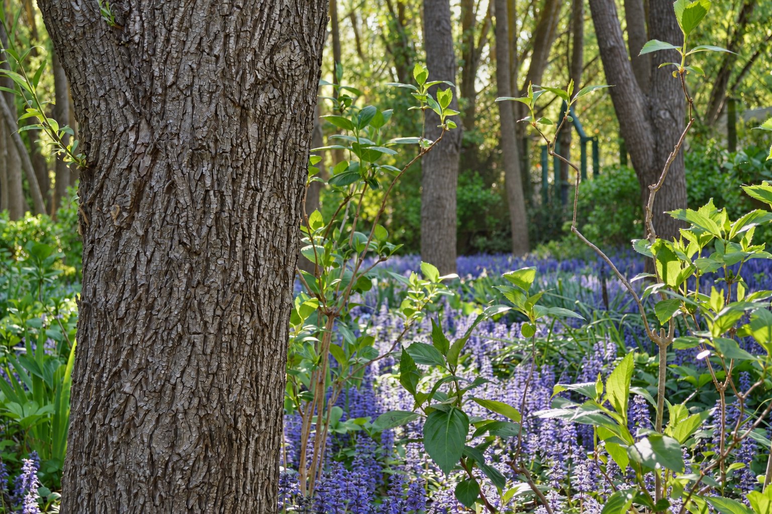🌸 Celebrate Spring at the Crisp Galleries 🌸