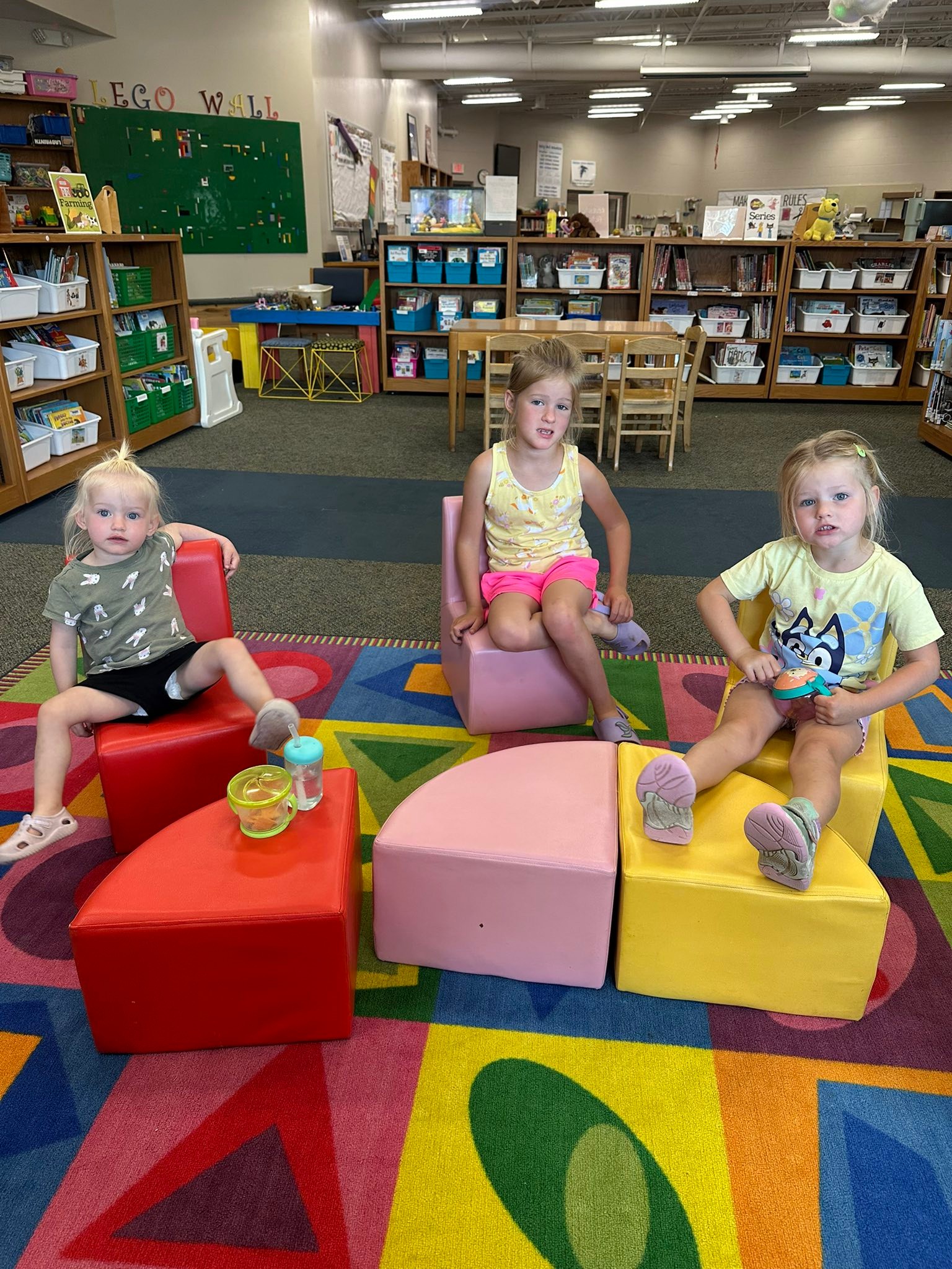Freeman Public School Community Library | Adams NE