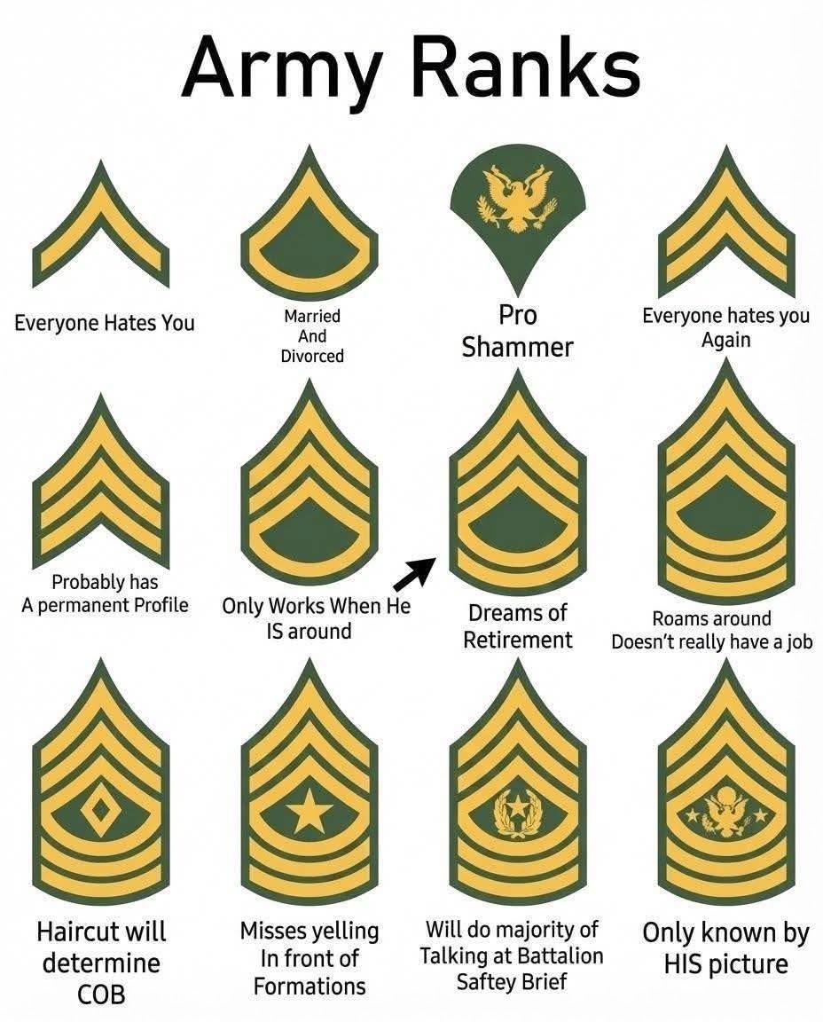 Veteran - 🛡️ Monday Morning Threat Punch Advocate 🥊 Because some people ...