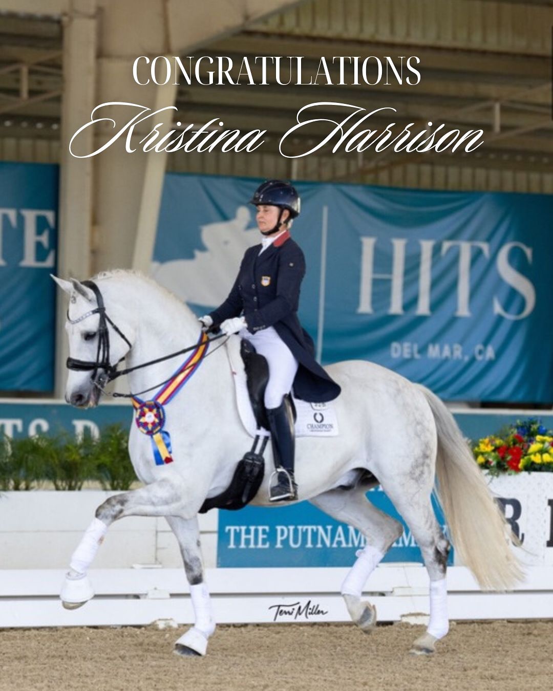 The Paddock Riding Club added a... - The Paddock Riding Club