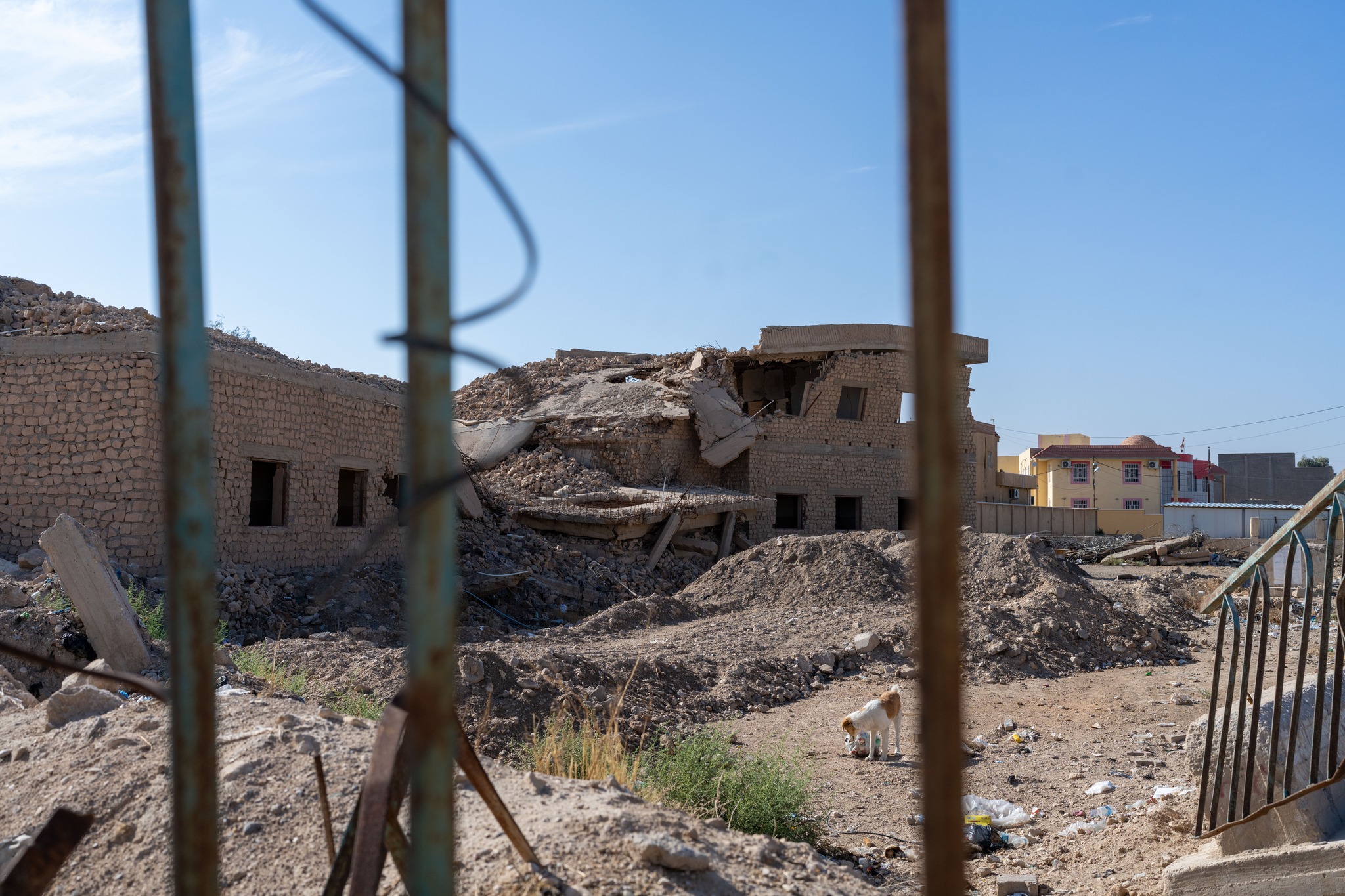 United - News from UNESCO Iraq: UNESCO delivers Competency Based ...