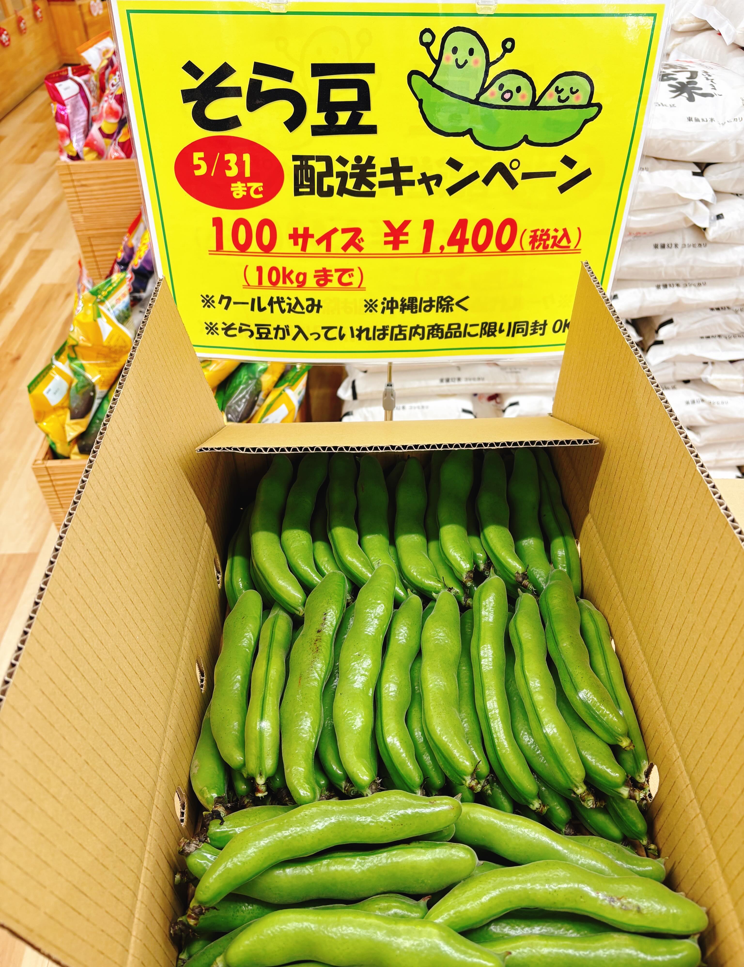 そら豆　LMS混合10kg 専用品 そら豆10kg そら豆 LMS混合10kg 専用品 最 安値