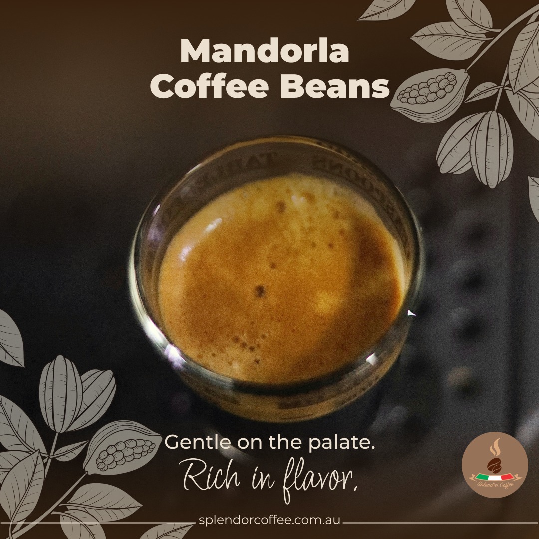 Splendor Coffee