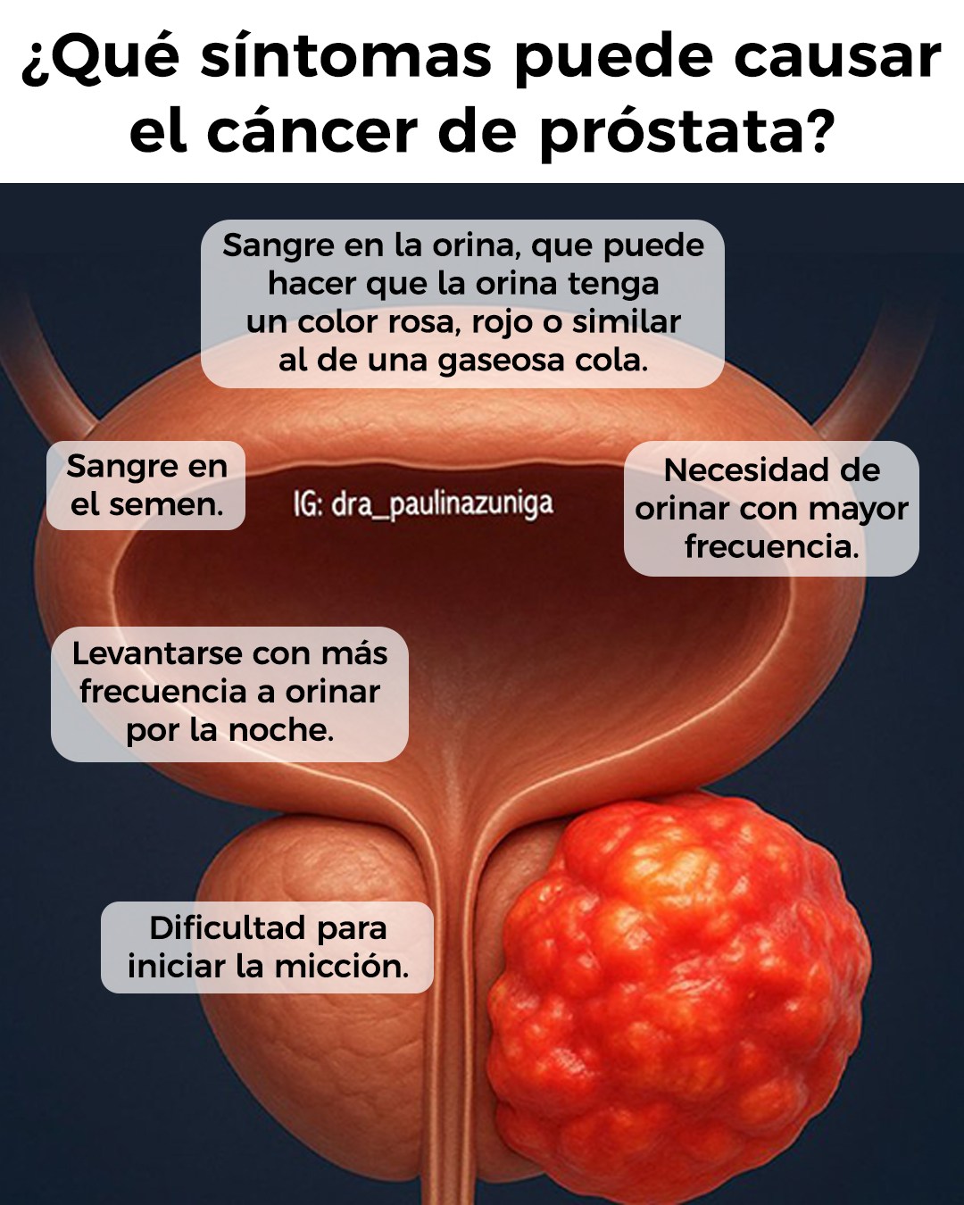 Luces Firmamento