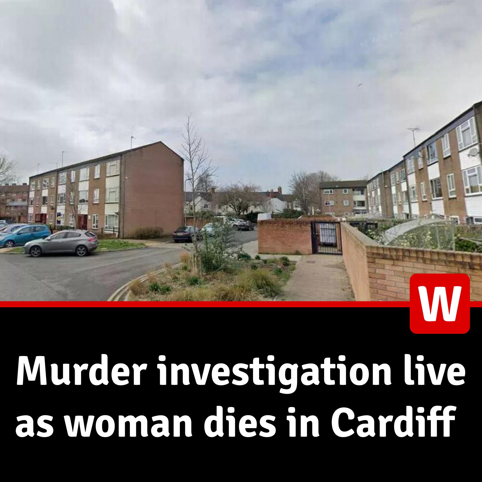 Cardiff - One man has been arrested on suspicion of murder after a ...
