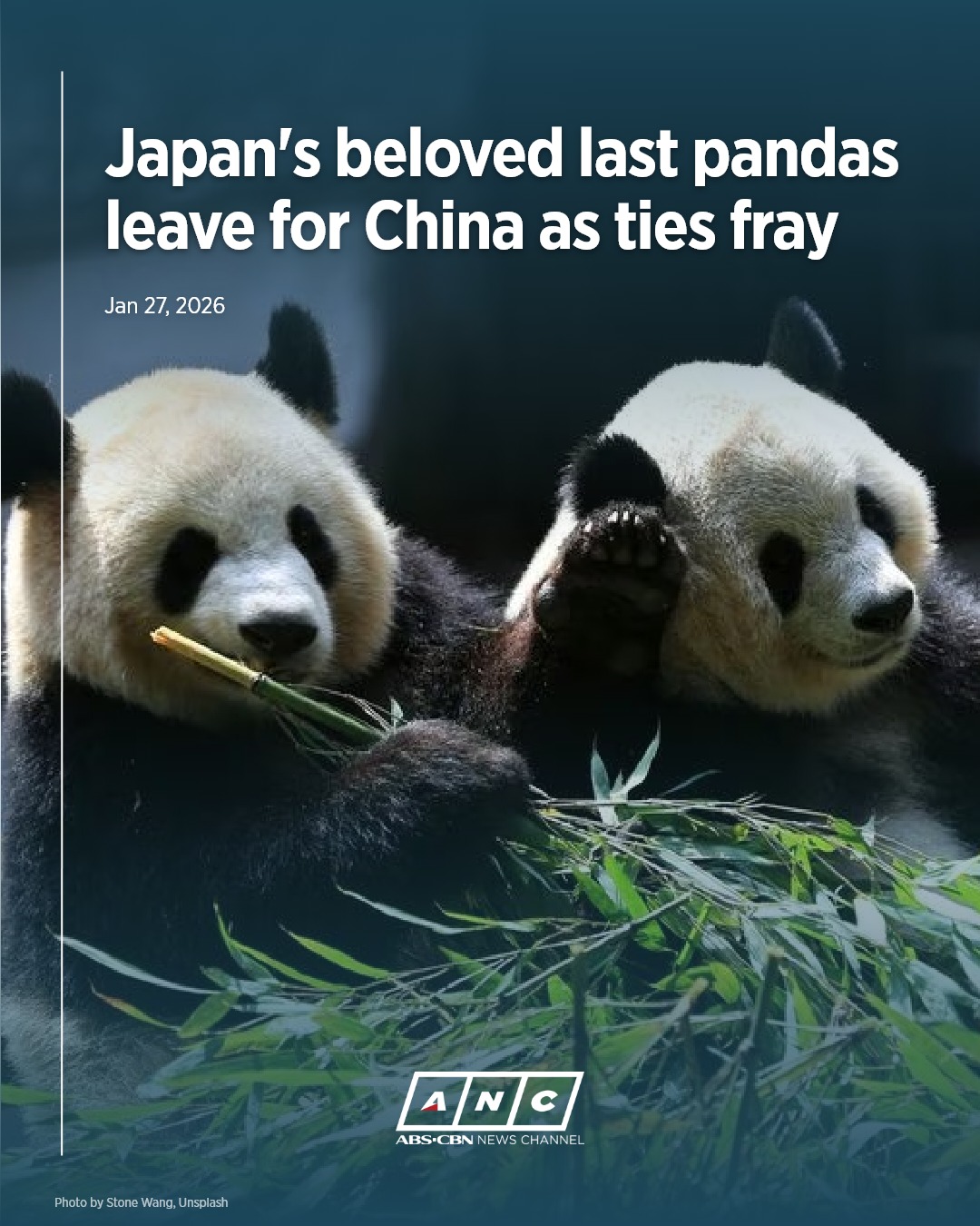 ABS-CBN News - Two popular pandas are set to leave Tokyo... | Facebook