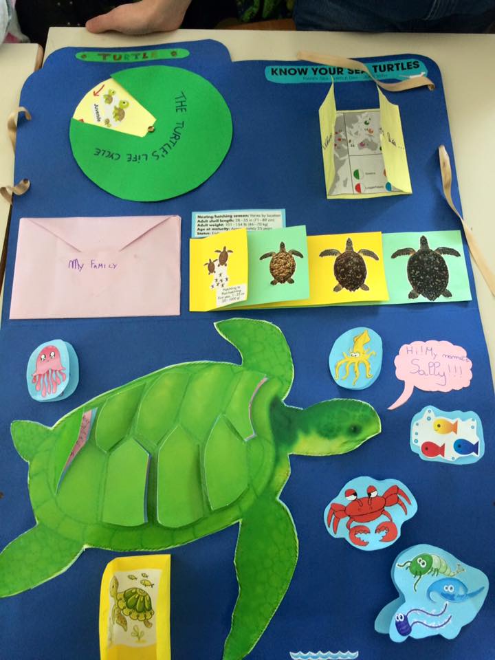 Caretta Calabria... - Caretta Calabria Conservation