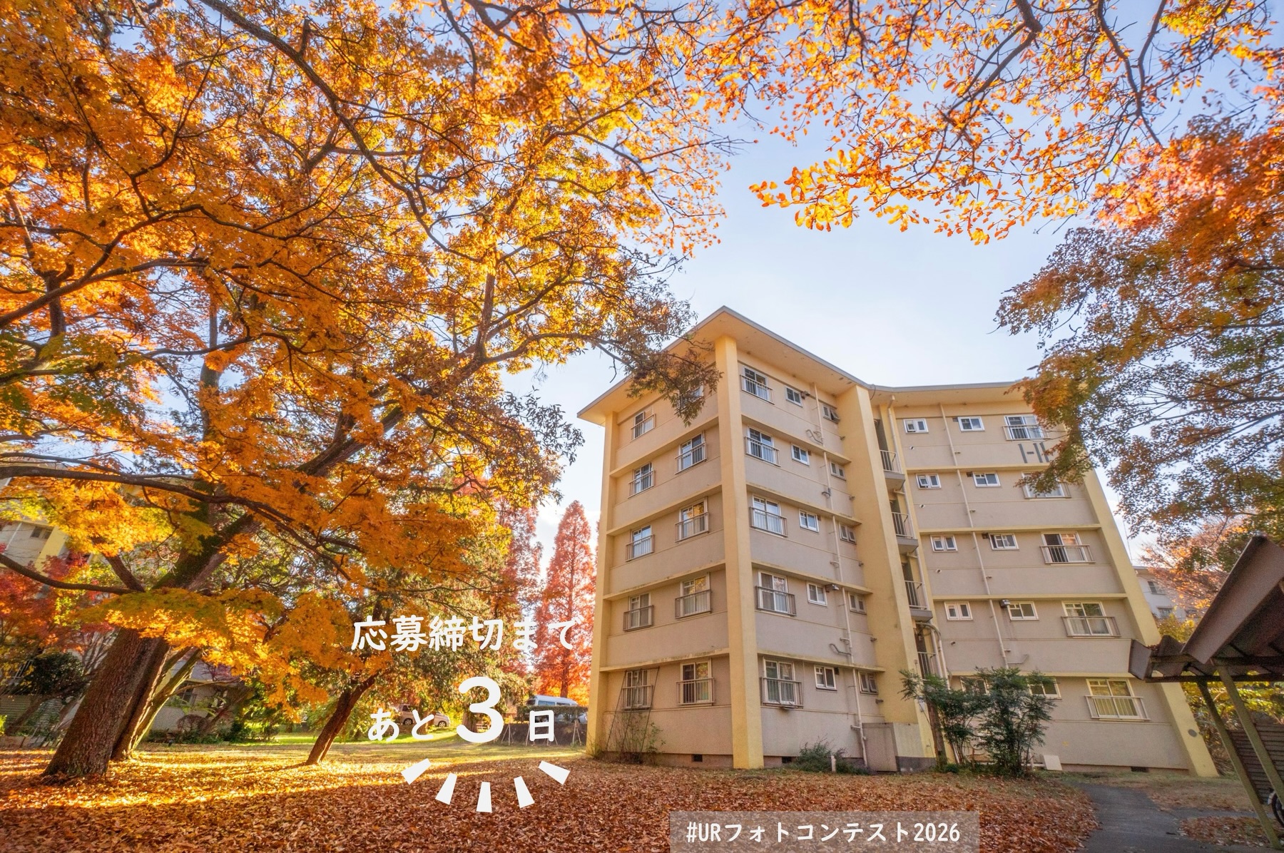 UR 都市機構 (@ur.toshikiko) • Facebook