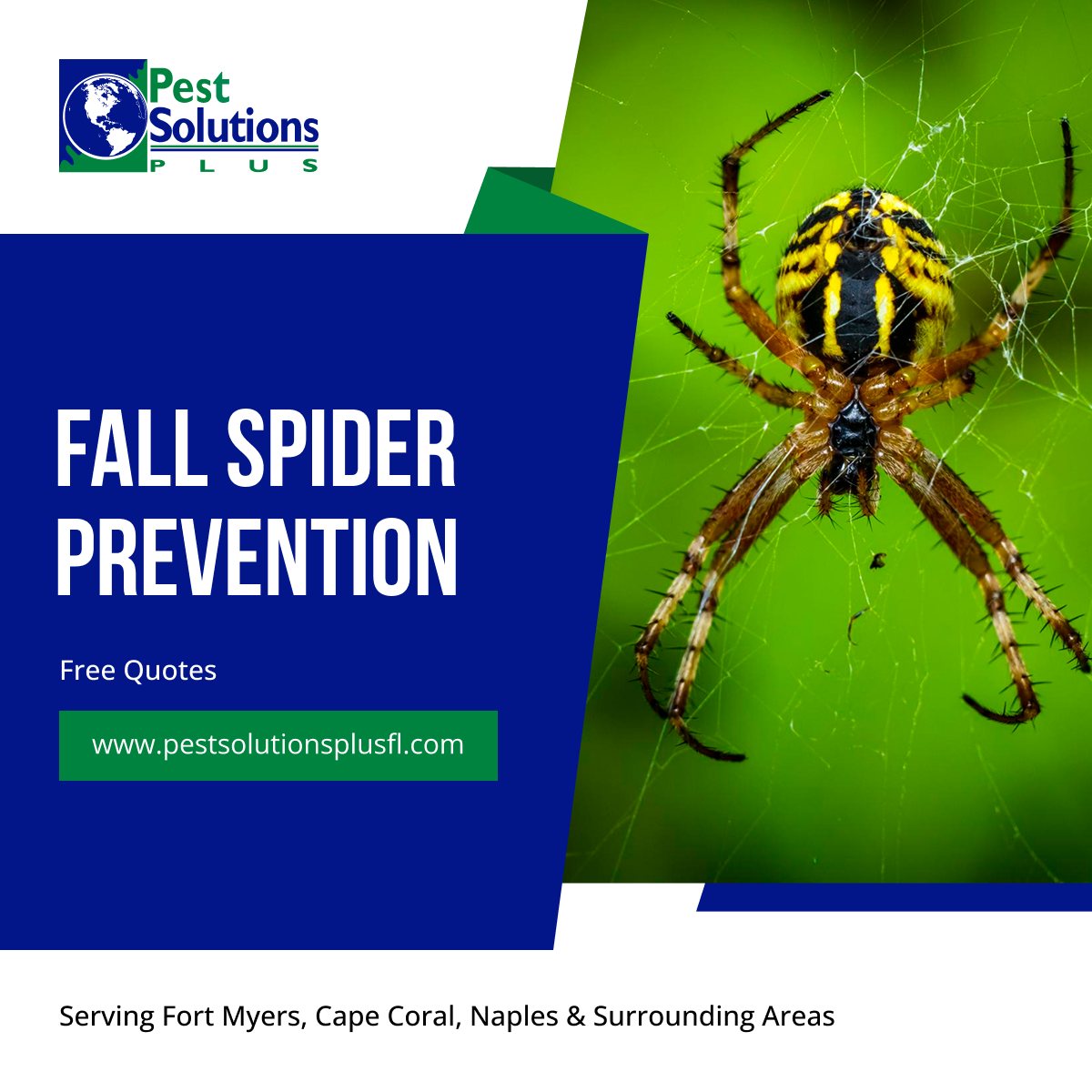 Spiders don’t wait for an... - Pest Solutions Plus Florida | Facebook