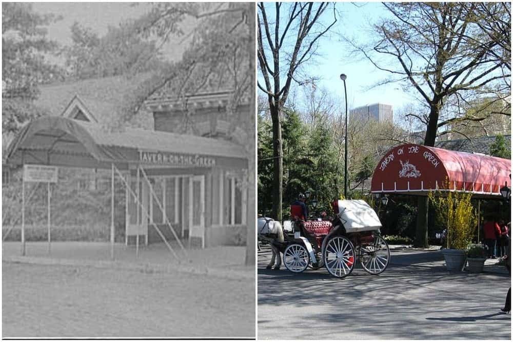 Tavern on the Green, Central Park New York City