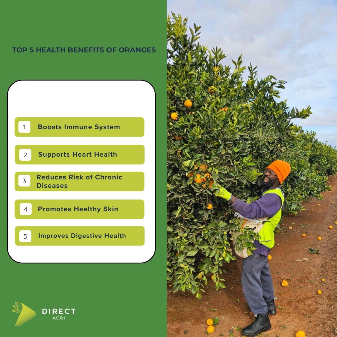 Direct Agri - 🍊 Top 5 Reasons to Love Oranges 🍊 From tree... | Facebook