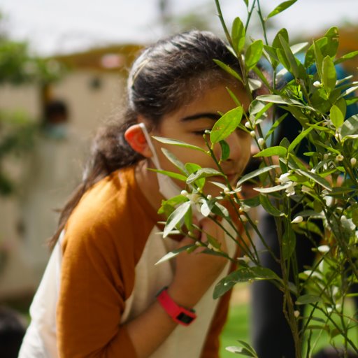 The Ivy School - The Pollination Module is in full swing... | Facebook
