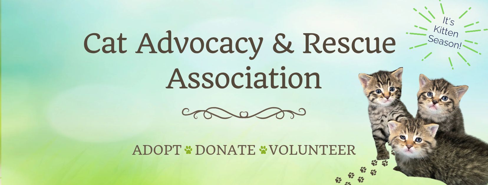 Midday Mood Boost:... - Windsor/Essex County Humane Society | Facebook