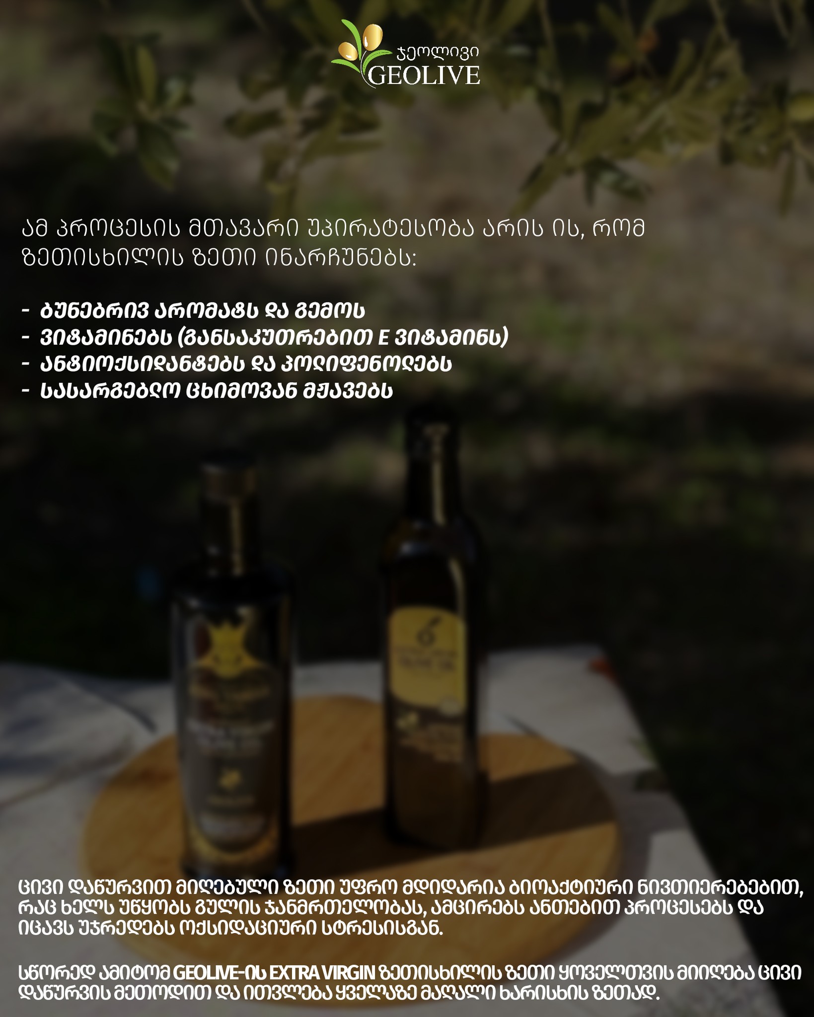 Geolive Olive Oil / ჯეოლივის ზეთისხილის ზეთი / ქართული ზეთისხილი | Tbilisi