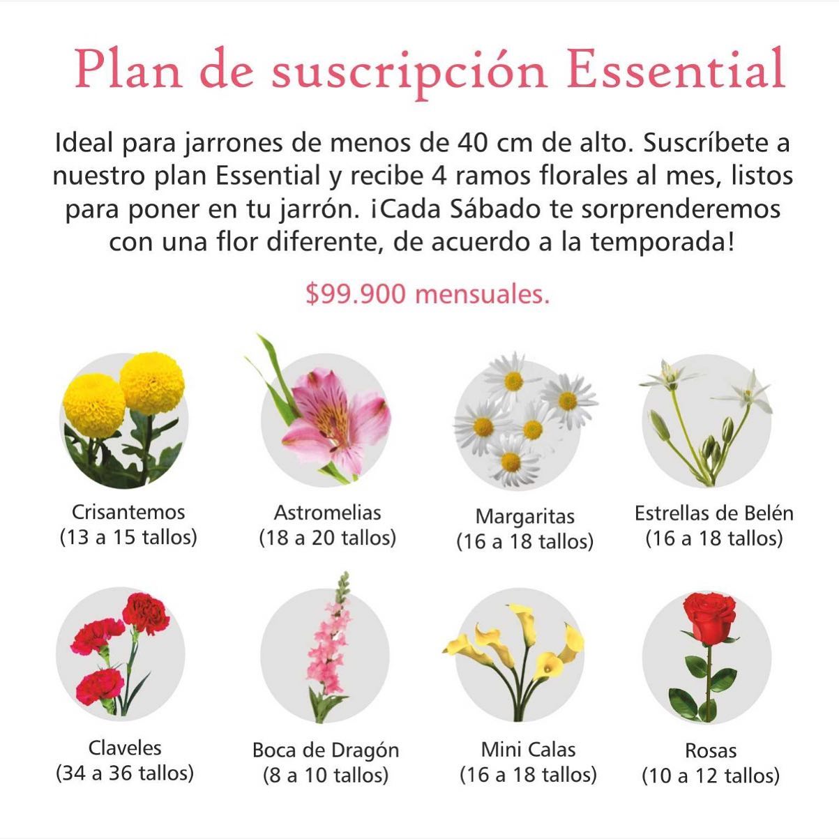 Conoce nuestros planes de... - Acanta, agencia floral | Facebook