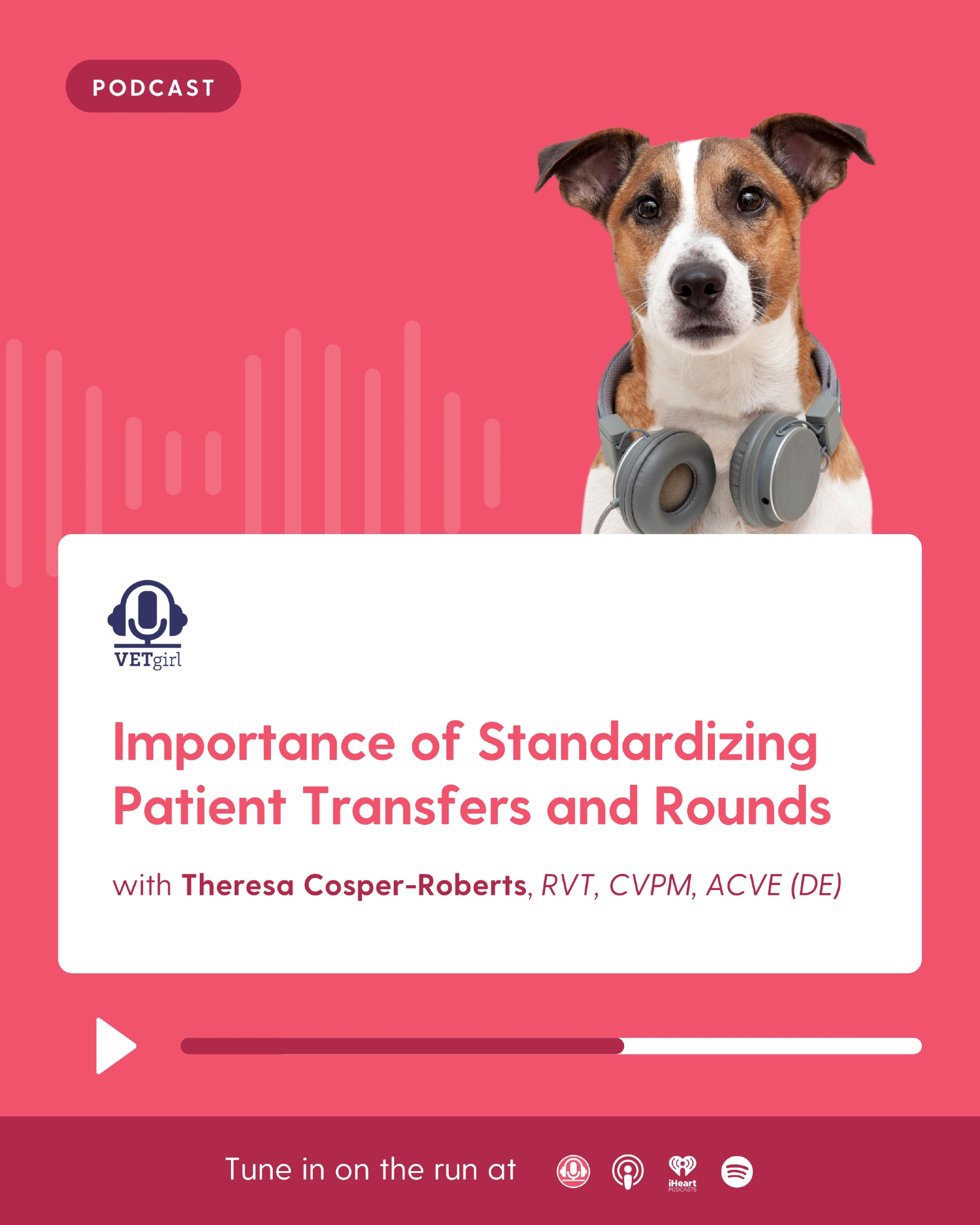 VETgirl - 🎙️ Importance of Standardizing Patient Transfers and Rounds 🐾 ...