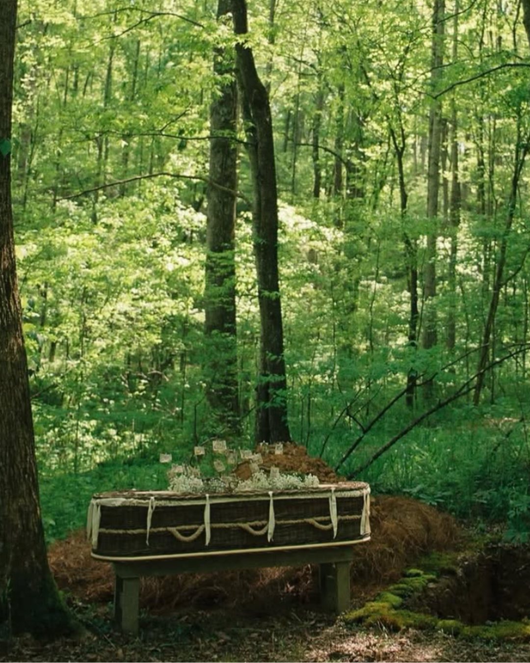 Happy end - 🌿 L’inhumation naturelle, une alternative qui... | Facebook