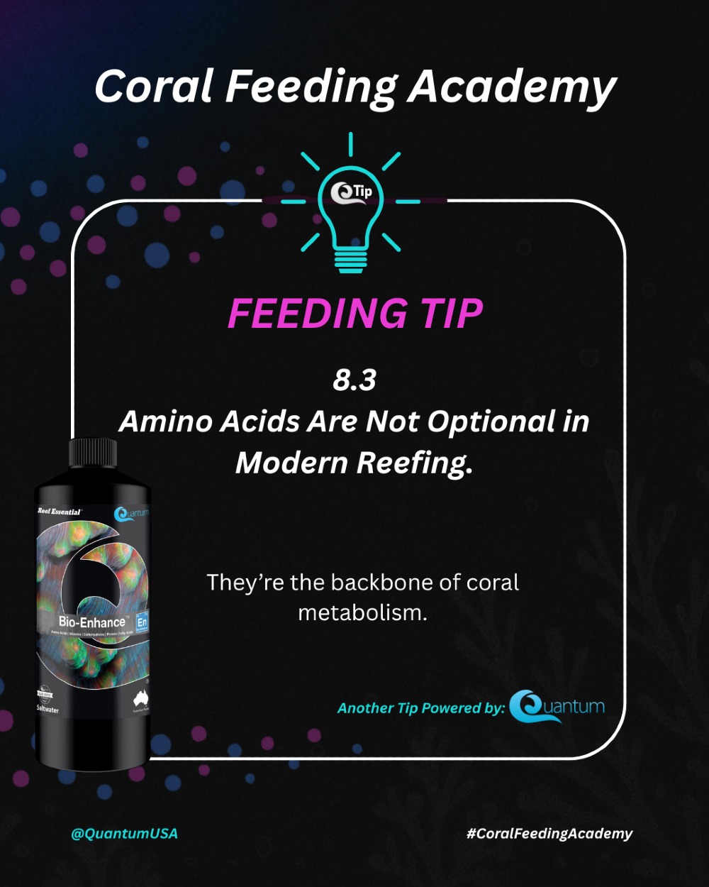 Quantum - Amino Acids Are Not Optional in Modern Reefing. In natural ...