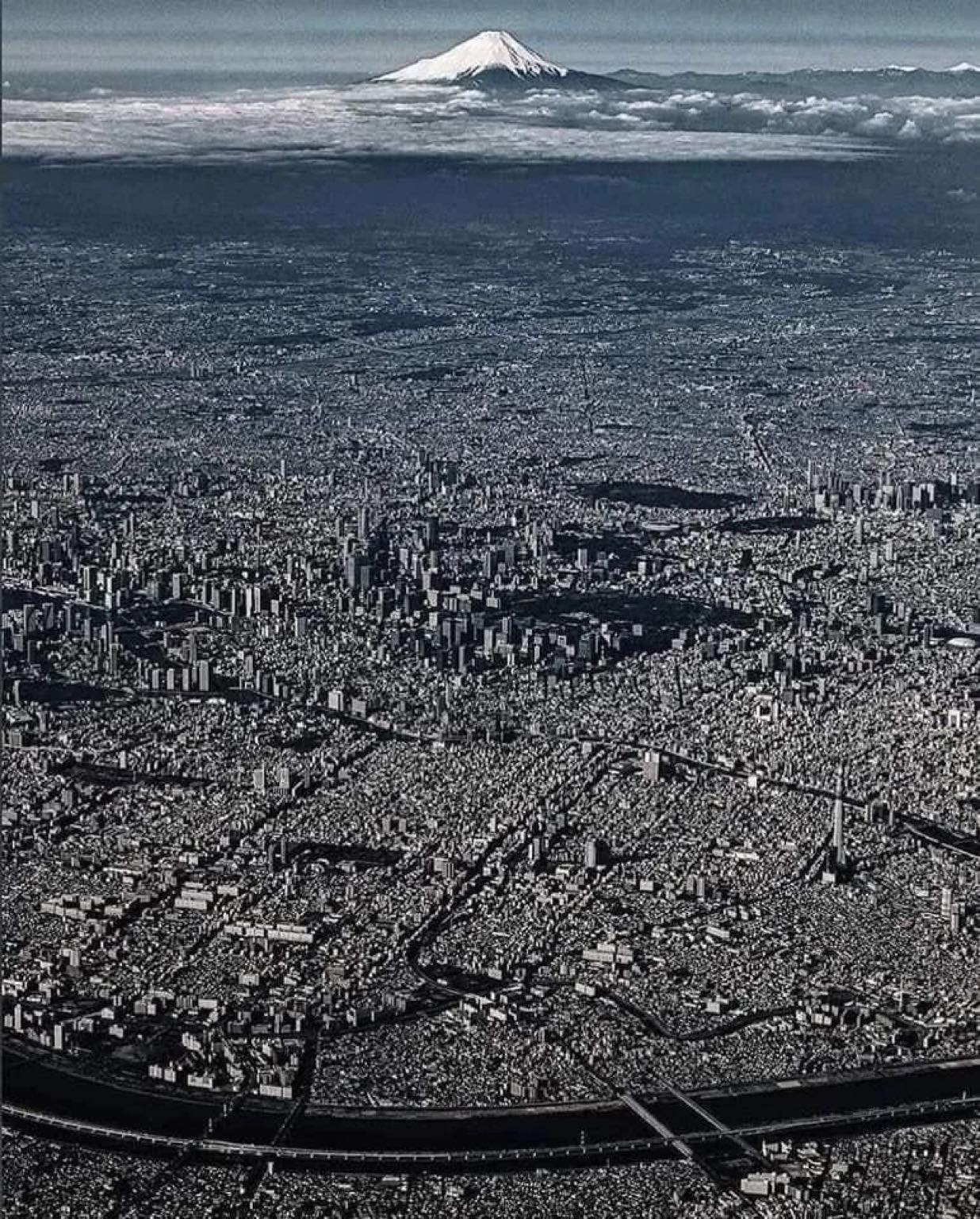🤯🏙️ This is Tokyo, a metropolis overflowing with life and