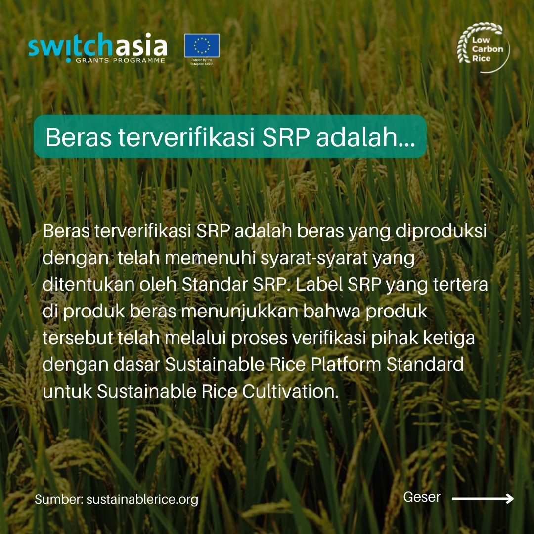 Penasaran bagaimana penerapan... - Low Carbon Rice Project