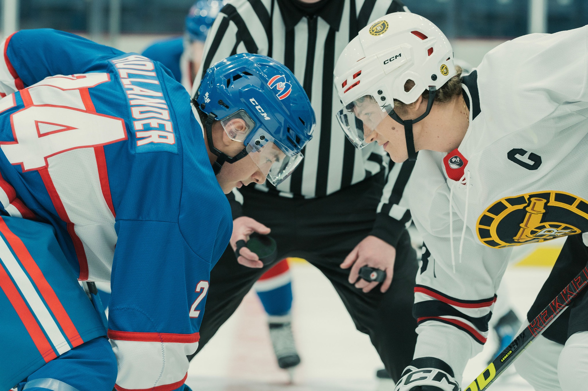 WOOD - After the viral success of Heated Rivalry, the latest Let's Get ...