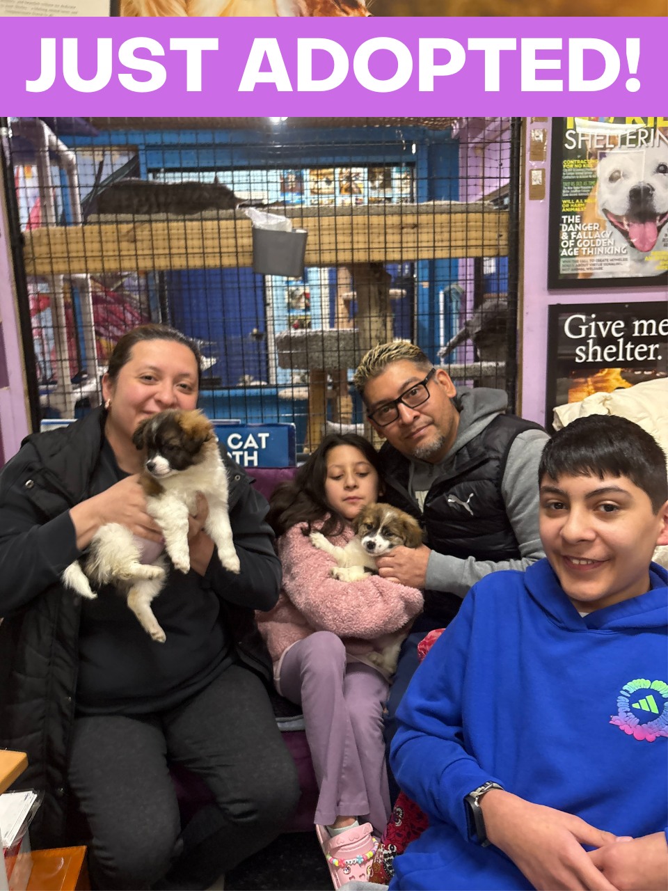 F... - Famous Fido Rescue Adoption, Wellness & Learning Center