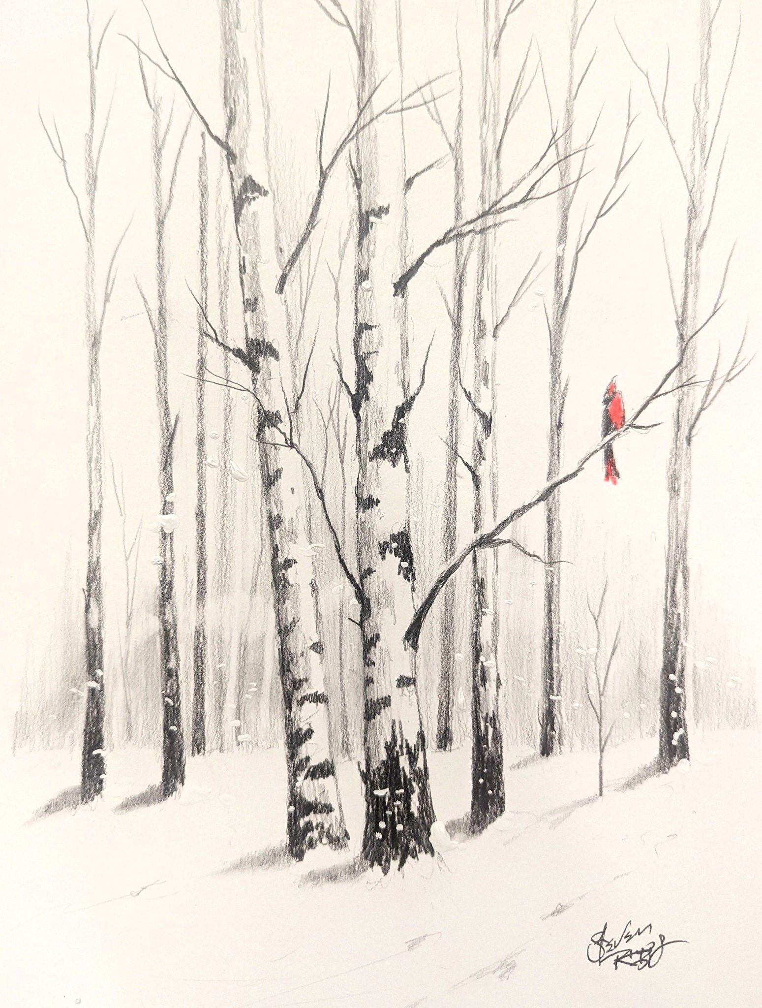 Steven Riggs