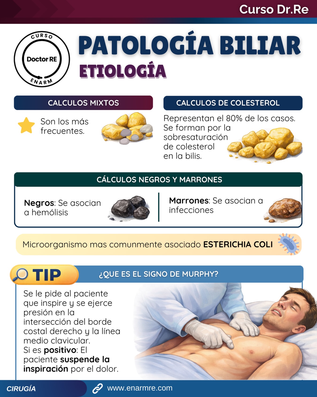 Dr. Re - 🩺PATOLOGÍA BILIAR Curso ENARM Dr. Re 🧑🏽‍⚕️ 🌐... | Facebook