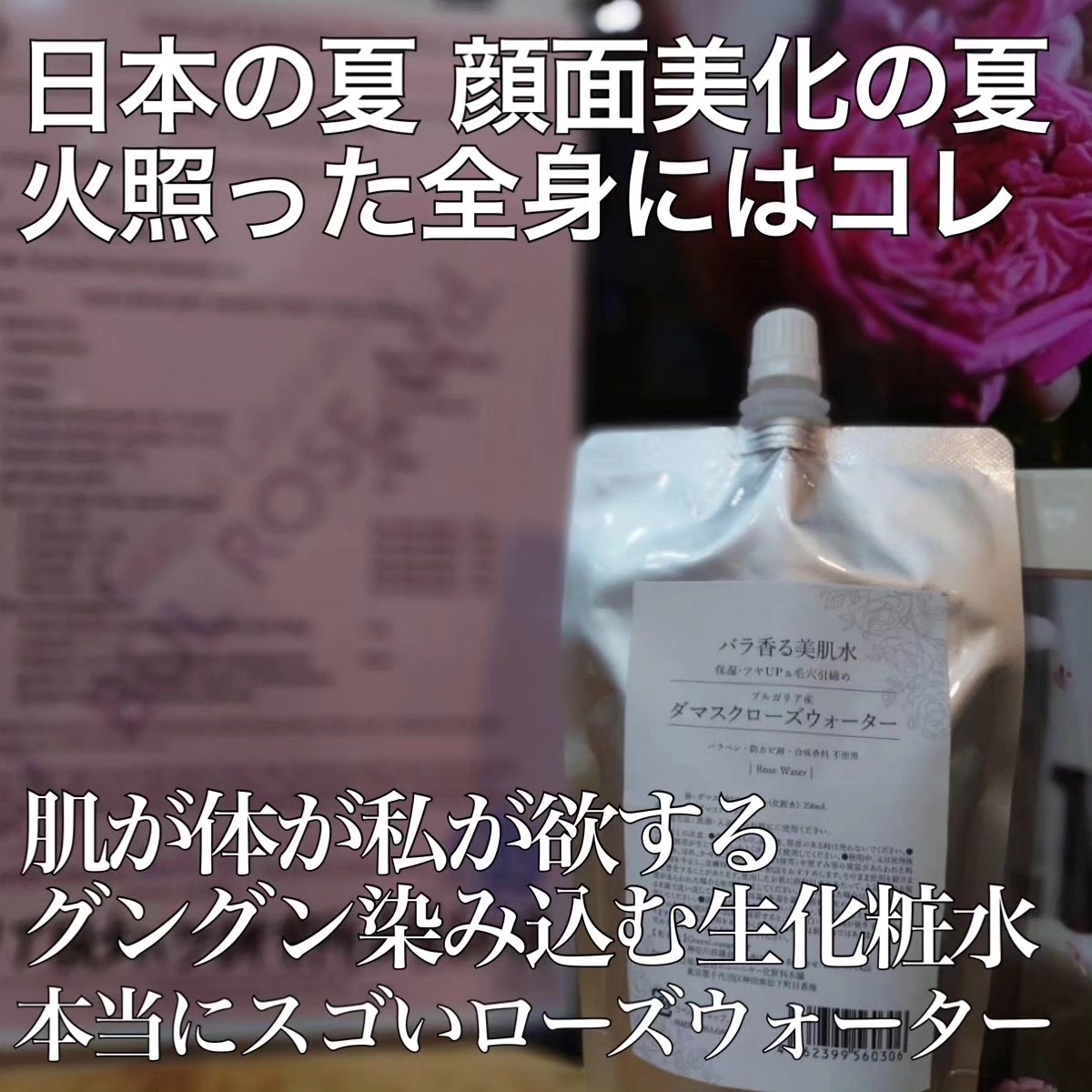 Green Lounge | Kamakura-shi Kanagawa