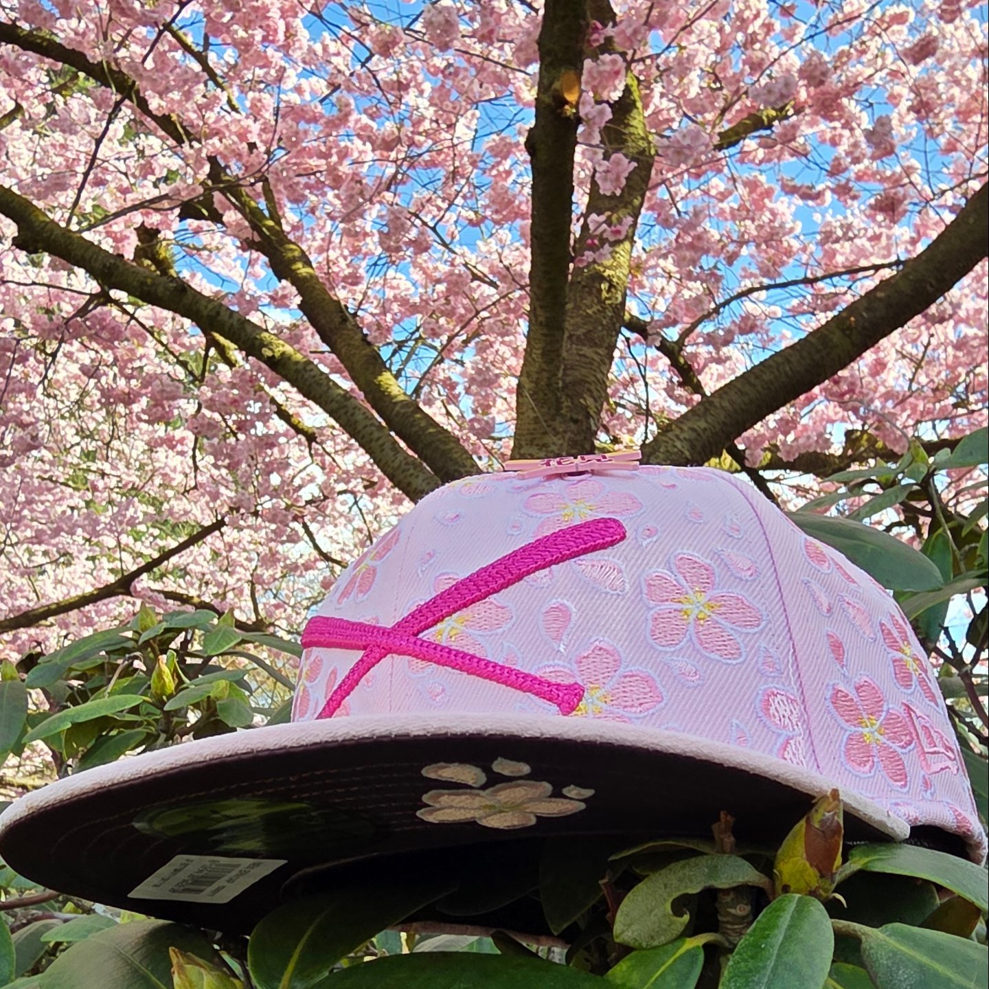 JustFitteds Crossed Bats Logo Sakura 2026 (glow in the dark) New