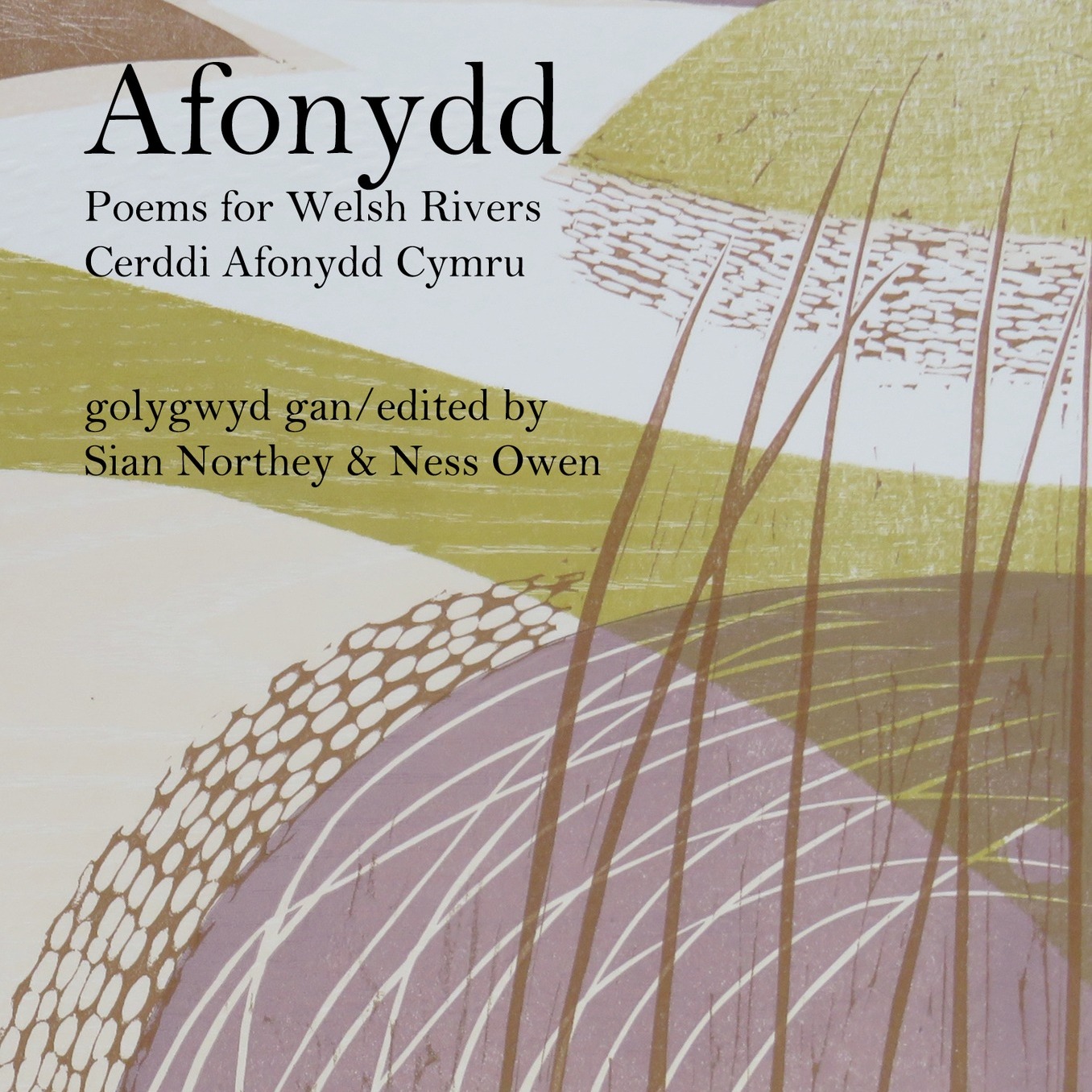 Arachne - Arachne Press is delighted to announce that Cyngor Llyfrau ...